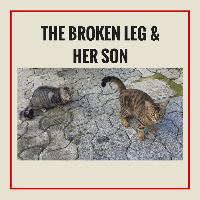 The broken leg and her son.jpg