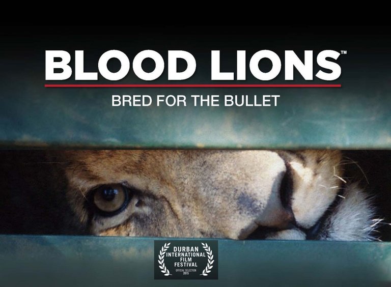 bloodlions.jpg