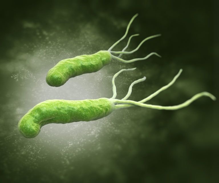 Hpylori-768x640.jpg