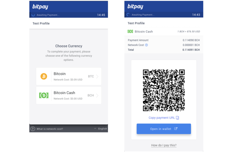 bitpay-bitcoin-cash-768x497.png