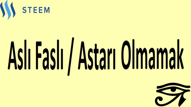 Aslı faslı  astarı olmamak.jpeg