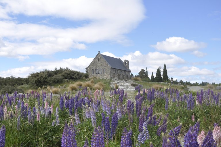 tekapo-773190_1920.jpg