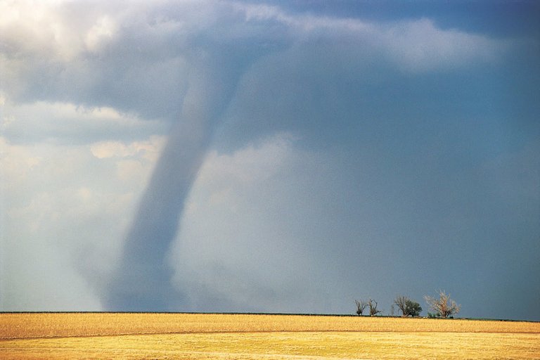 Tornado Attack in Field Wallpaper.jpg
