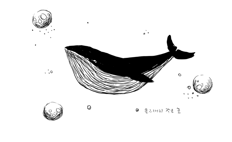 whale.png