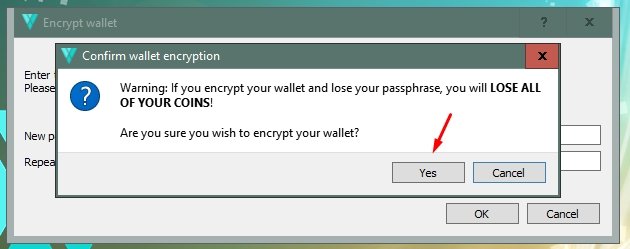 encrypt_wallet_3.jpg