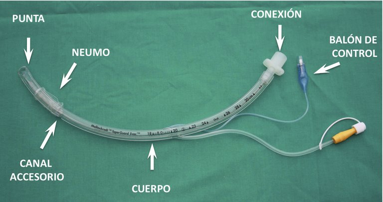 Partes-del-TET1.jpg