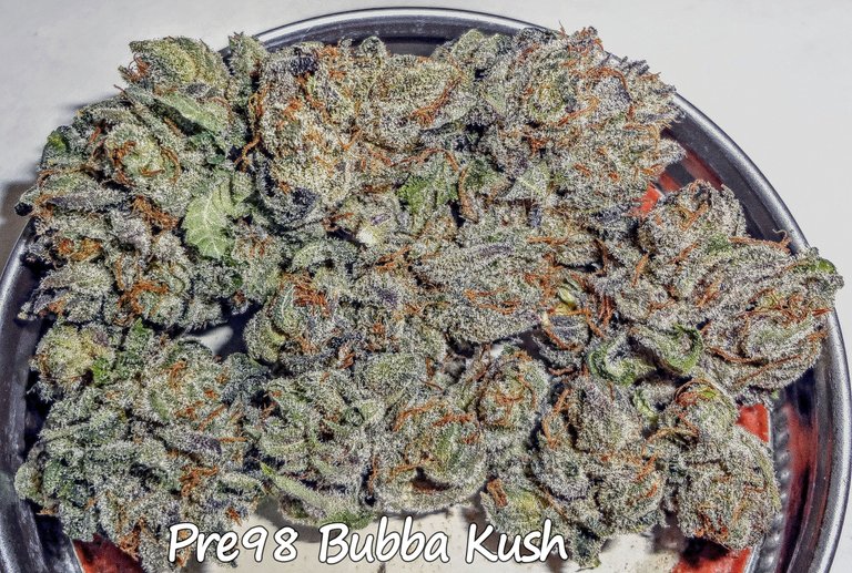 pre98bubbakush312.JPG