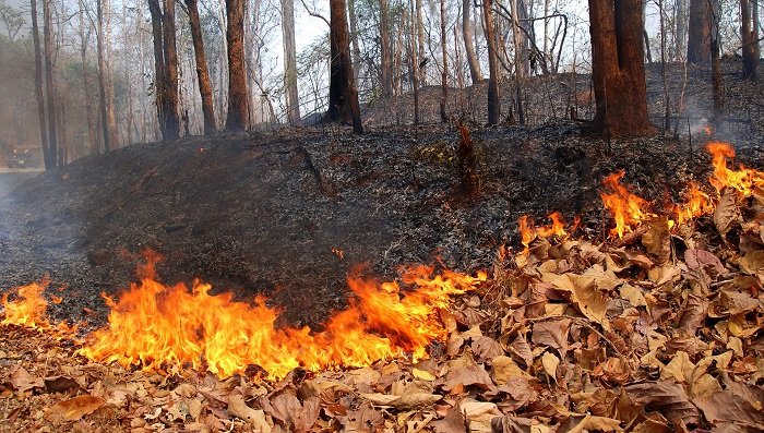 Bangladesh’s-Environmental-Problems.jpg