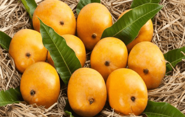 buy-alphonso-mango-online-pune-610x385.png