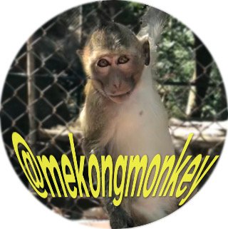 MekongMonkey