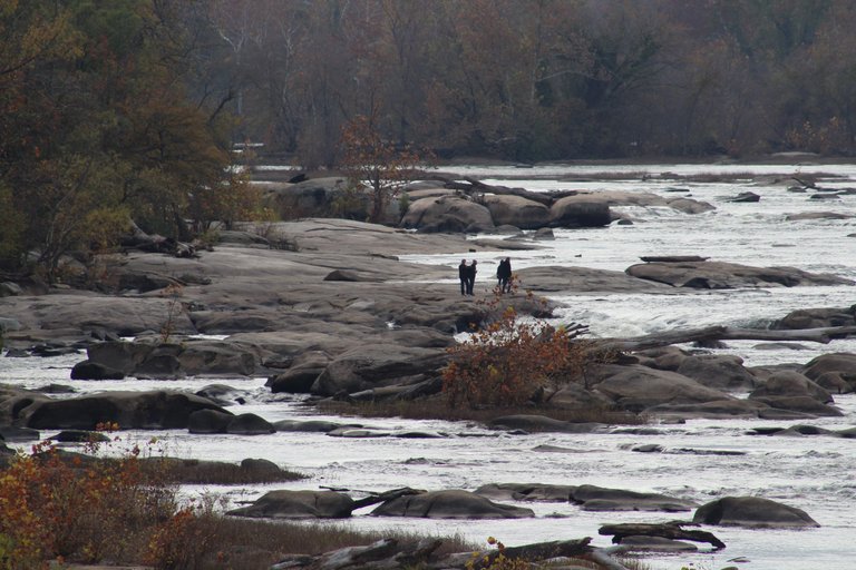 belle isle nov.15.2017 065.JPG