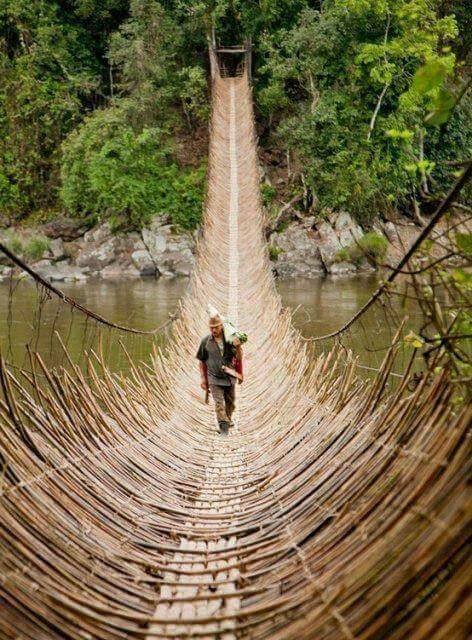 Puente de caña en pueblo de Kabua, República de Congo..jpg