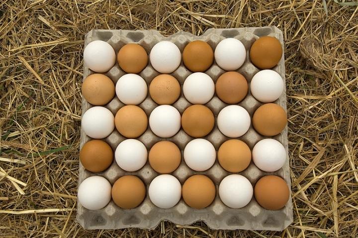 Chicken eggs.jpg