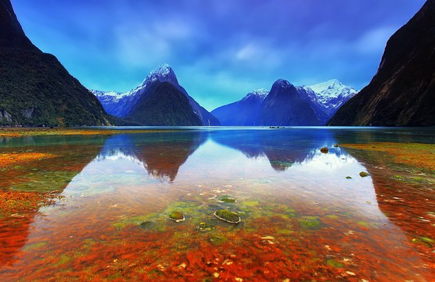 new-zealand-south-island-fiordland-national-park.jpg