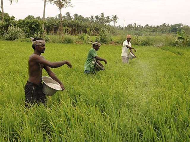 Farmers-1-BCCL.jpg