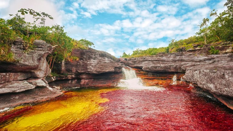 caño cristales.jpg