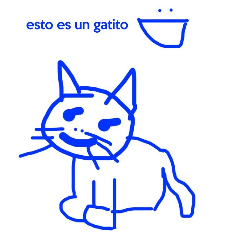 gatito.jpg