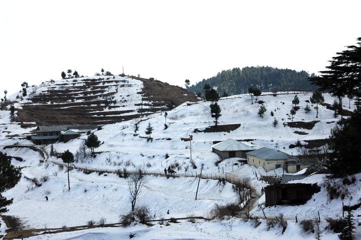 Snow-Peaks-Manali.jpg