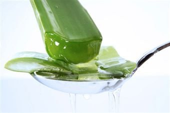 aloe-vera-cucumber.jpg