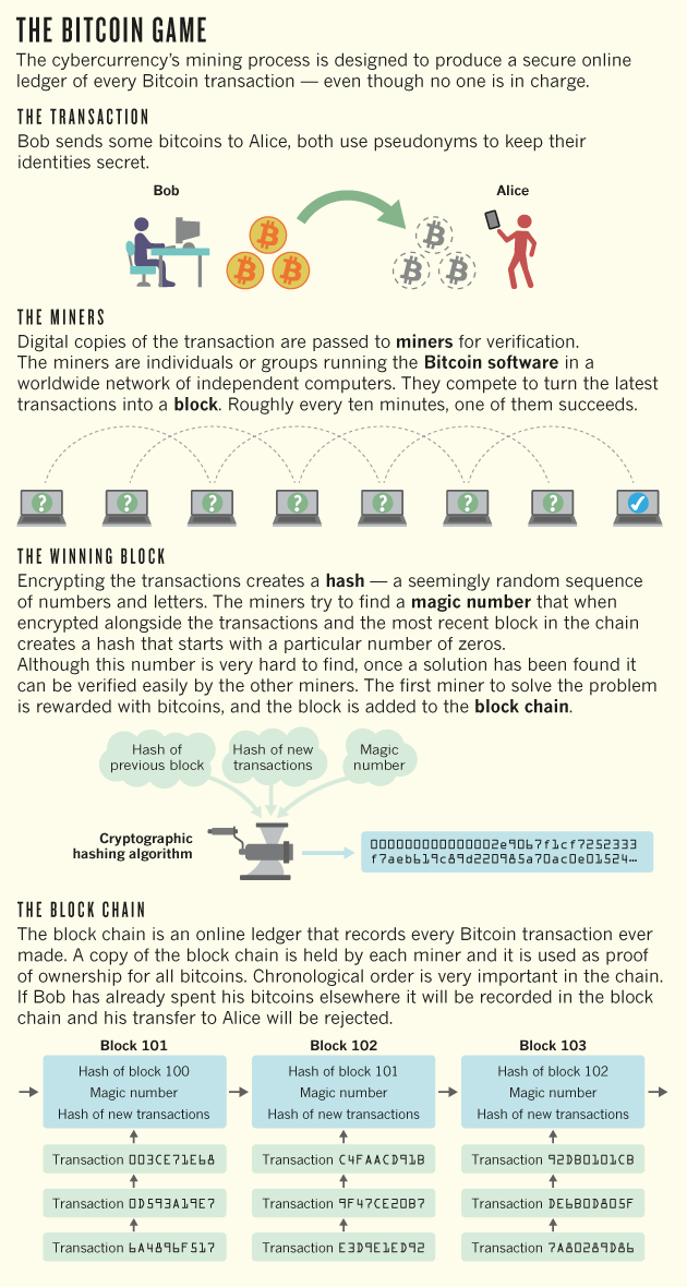 nature-bitcoin-graphic.png