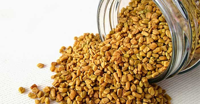 Fenugreek.jpg