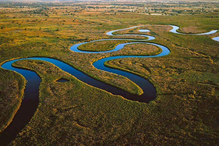 141117_01_DELTA OKAVANGO.jpg