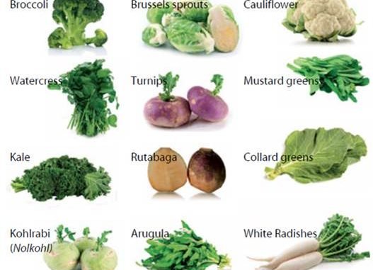 cruciferae-527x381.jpg