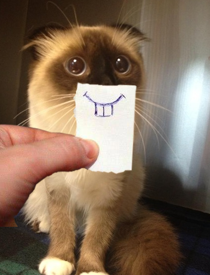 fun-cat-paper-drawing-expression-cute-picture.png