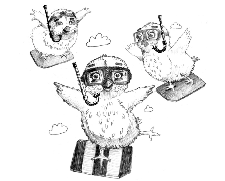 BeelineBirdsSketch3.png