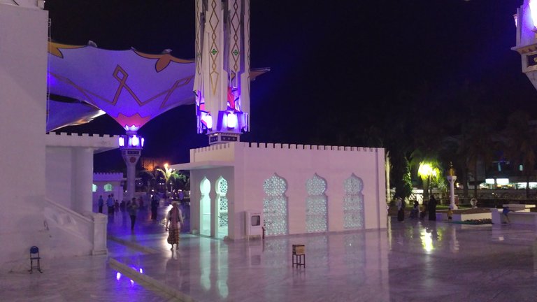 IMG_20170529_224227.jpg