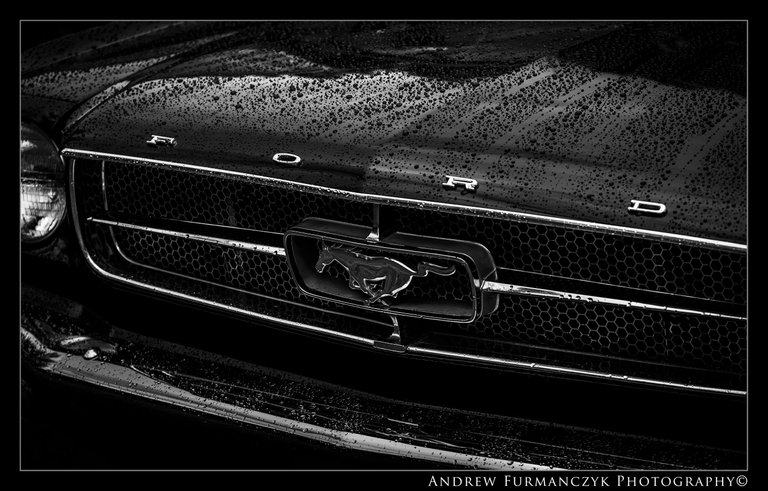 Black Mustang B&W.jpg