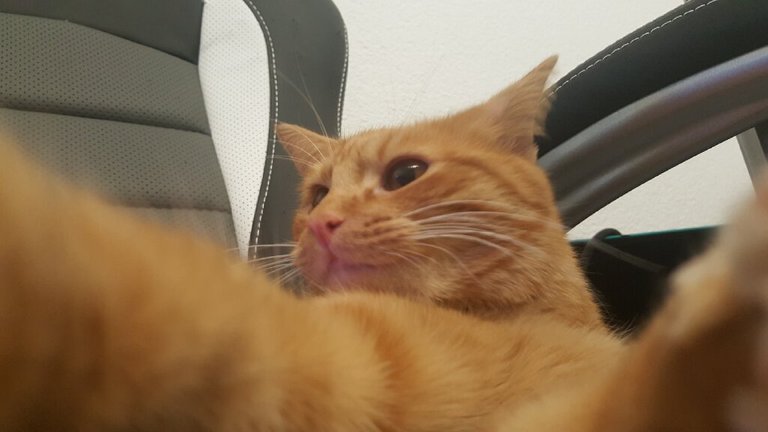 selfie.jpg