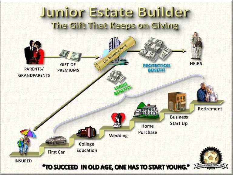 Junior Estate Builder.jpg