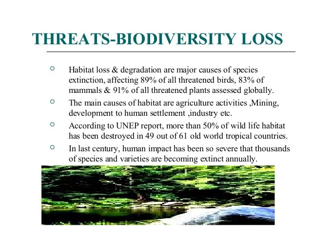 biodiversity loss.jpg