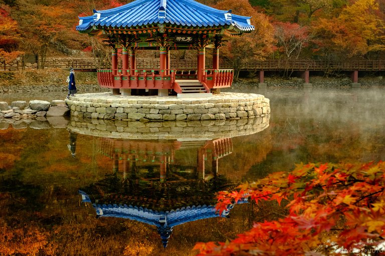 Naejangsan Autumn B-5.jpg