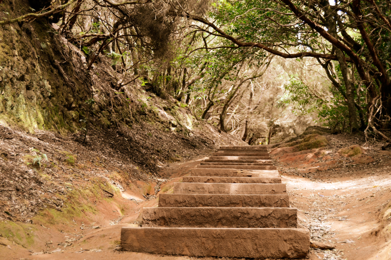 Hiking-in-the-Anaga-Mountains-900x600.png