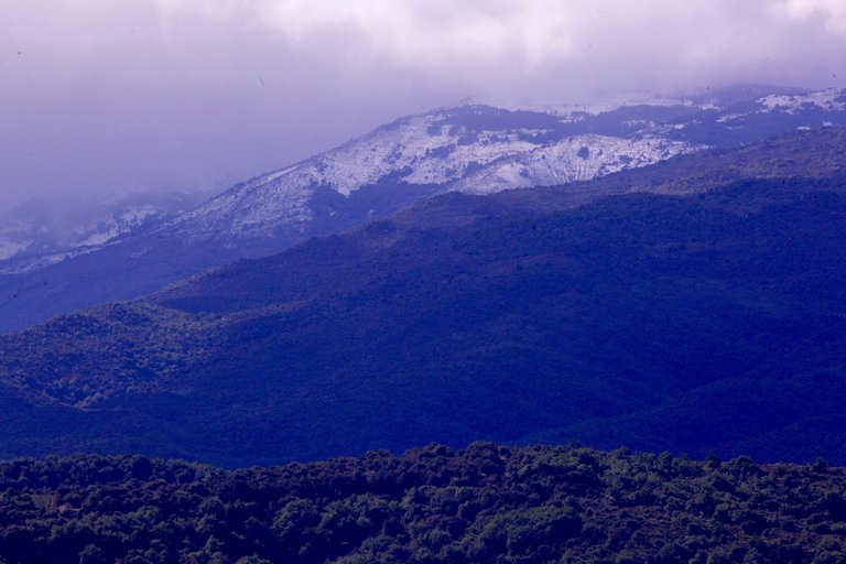 snow line.jpg