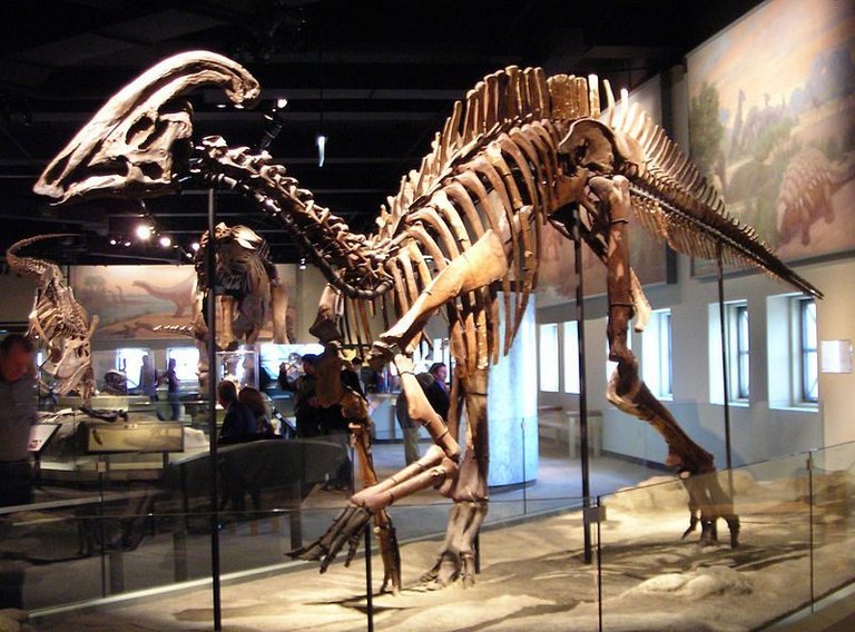 Parasaurolophus_cyrtocristatus.jpg