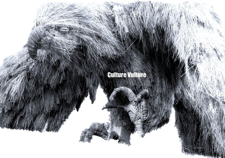 Culture Vulture Pic.png