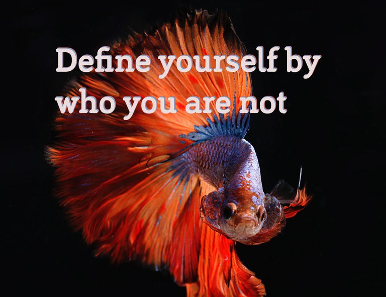 Define-yourself-by-who-you-are-not---Steemit-Cover.jpg