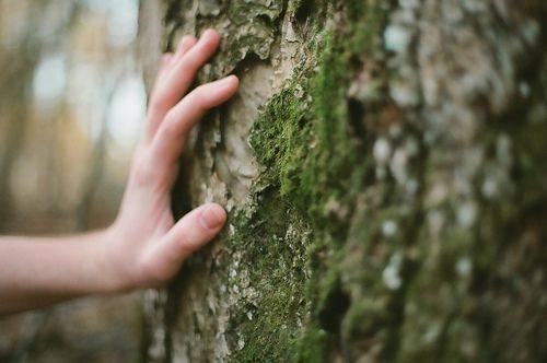 Touching-tree-trunk.jpg