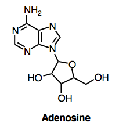 adenosin.png