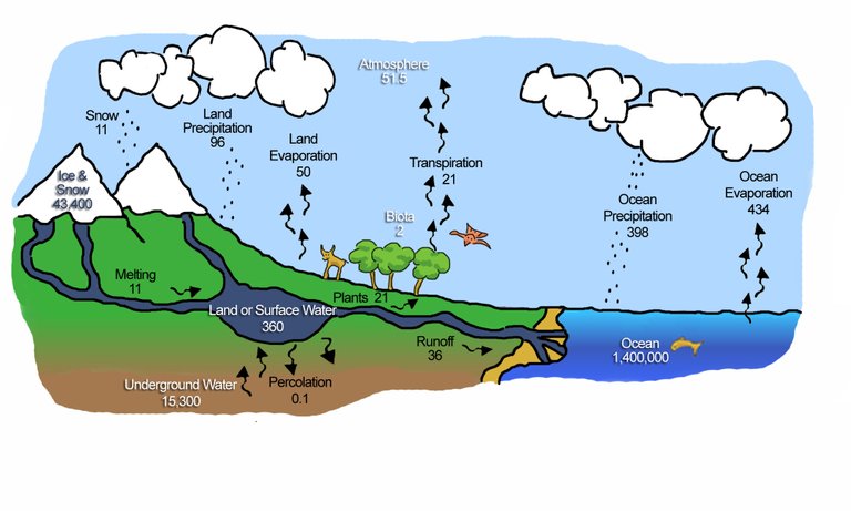 water cycle.jpg