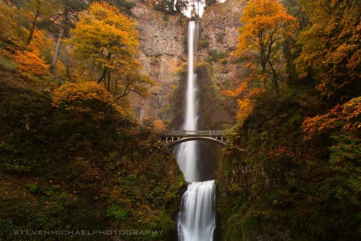 Multnomah-Photo-by-Steven-Michael.jpg