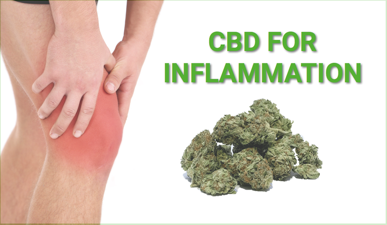 cbd-for-inflammation.png