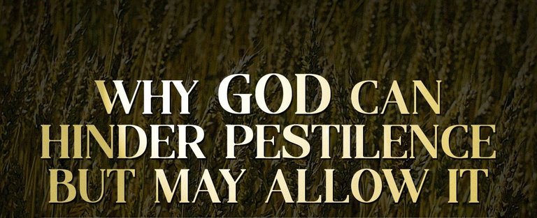 Why God Can Hinder Pestilence But May Allow ItBlog.jpg