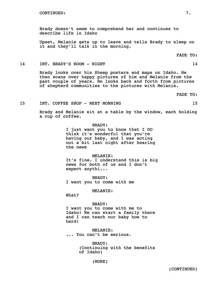 Script Final Screenplay (1)pg8.jpg