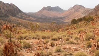 larapinta-trail-australia[1].jpg