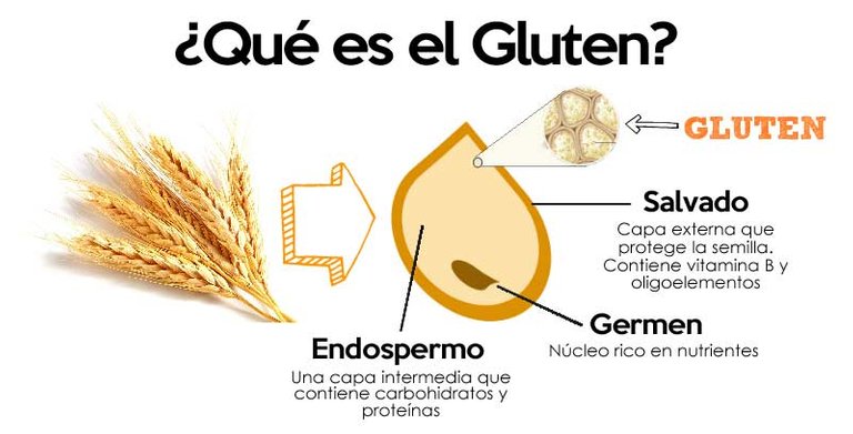 Que-es-el-Gluten-1.jpg