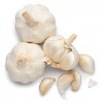 Garlic-150x150.jpg